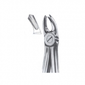 Extarcting Forceps 